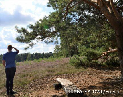 Junger Mann genießt die Aussicht auf die Kirchdorfer Heide