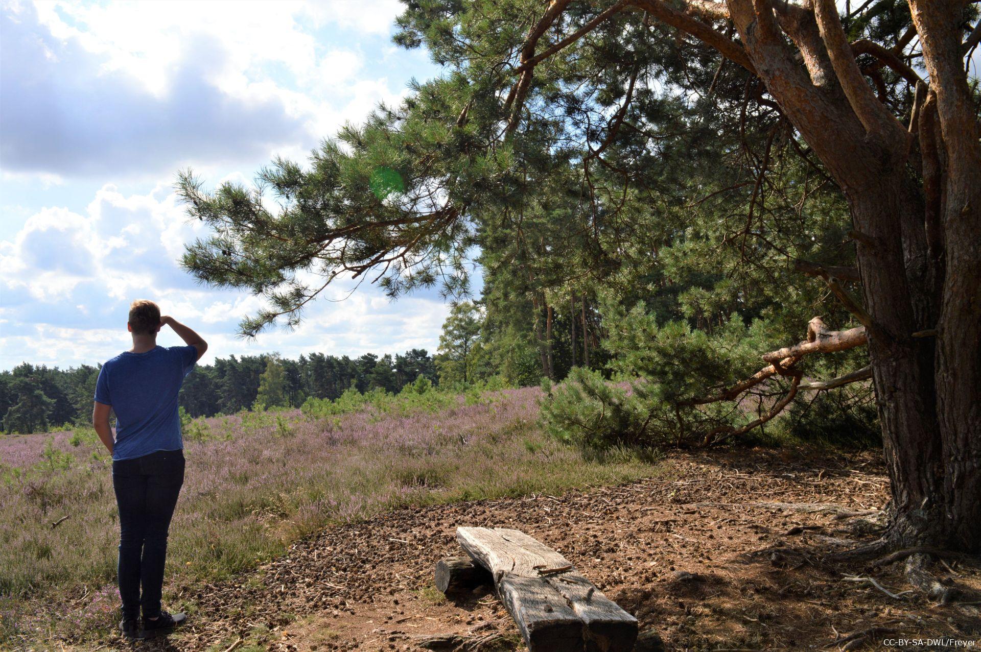 Junger Mann genießt die Aussicht auf die Kirchdorfer Heide