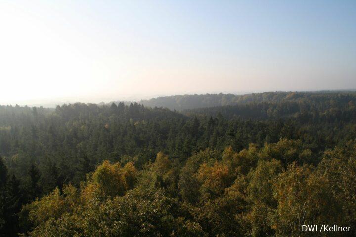 Blick auf die Dammer Berge