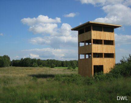 Aussichtsturm im Rehdener Moor