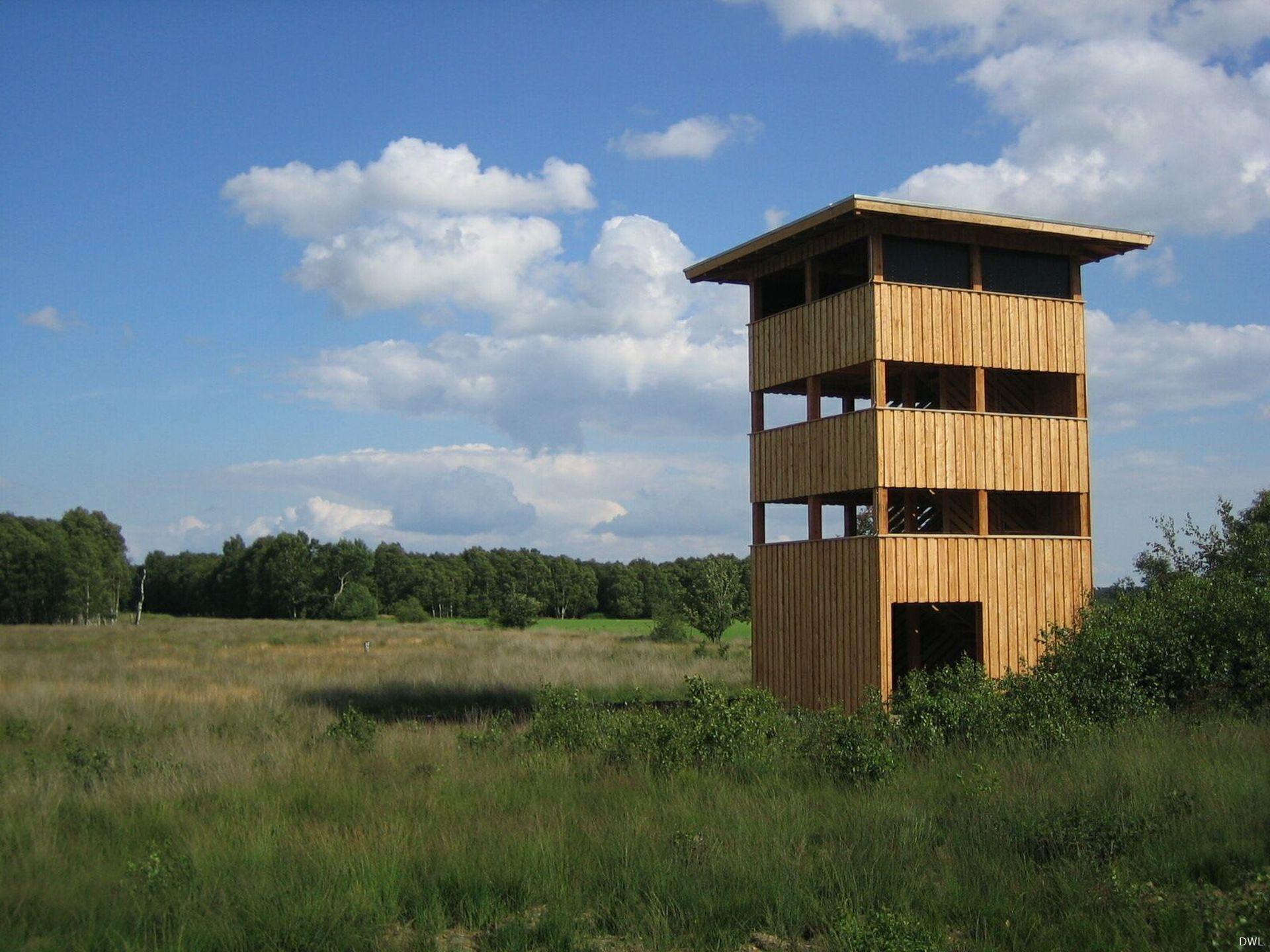 Aussichtsturm im Rehdener Moor