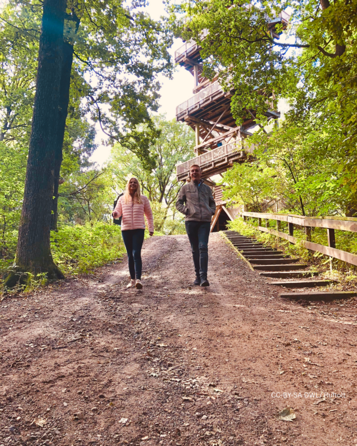 Zwei junge Menschen spazieren durch den Wald beim Aussichtsturm Mordkuhlenberg