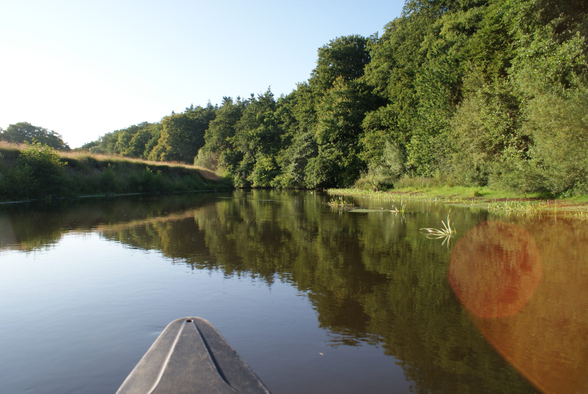 spitze eines Kanus im Vordergrund auf der Hunte mit grünen Bäumen an der Seite