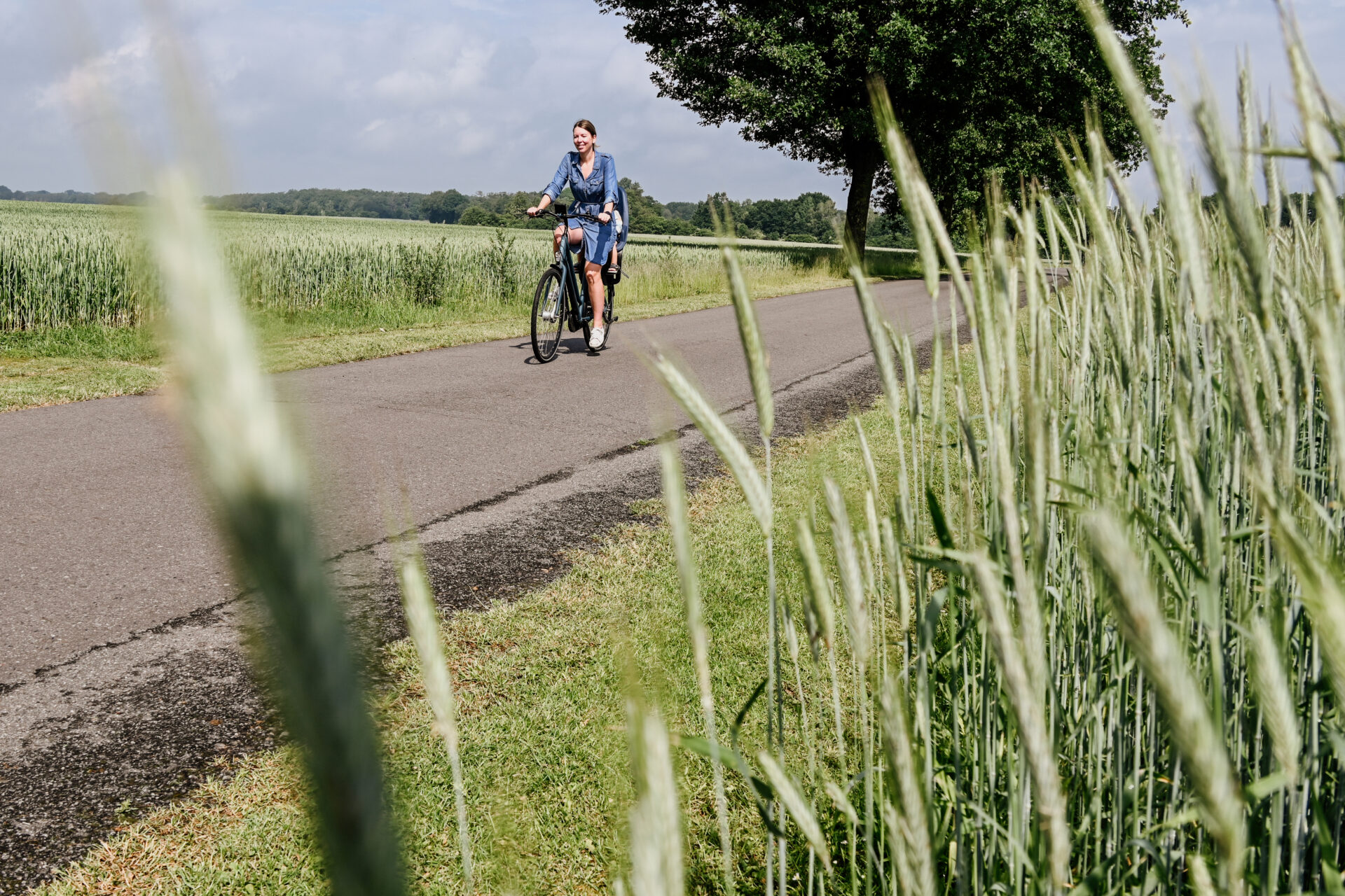 Eine Frau fährt auf einem Fahrrad auf der Straße an einer Wiese entlang