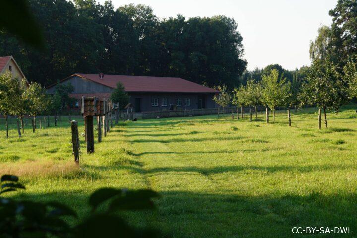 Grünfläche der Erlebnisimkerei Hanking mit Obstbäumen, Holzpfosten und Gebäuden vor dichtem Baumbestand.