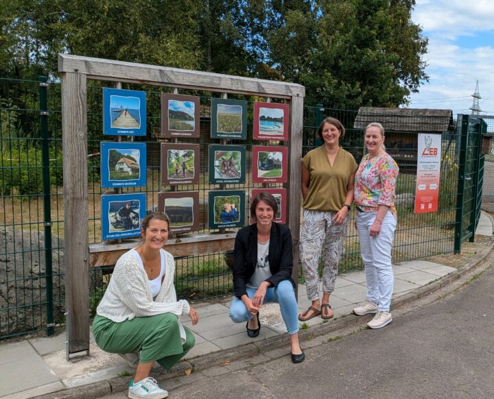 Gaestefuehrerausbildung im DümmerWeserLand