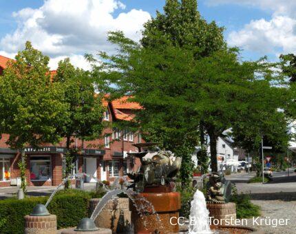 Froschbrunnen in Sulingen