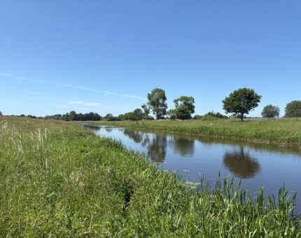 Große Aue vom Wegesrand