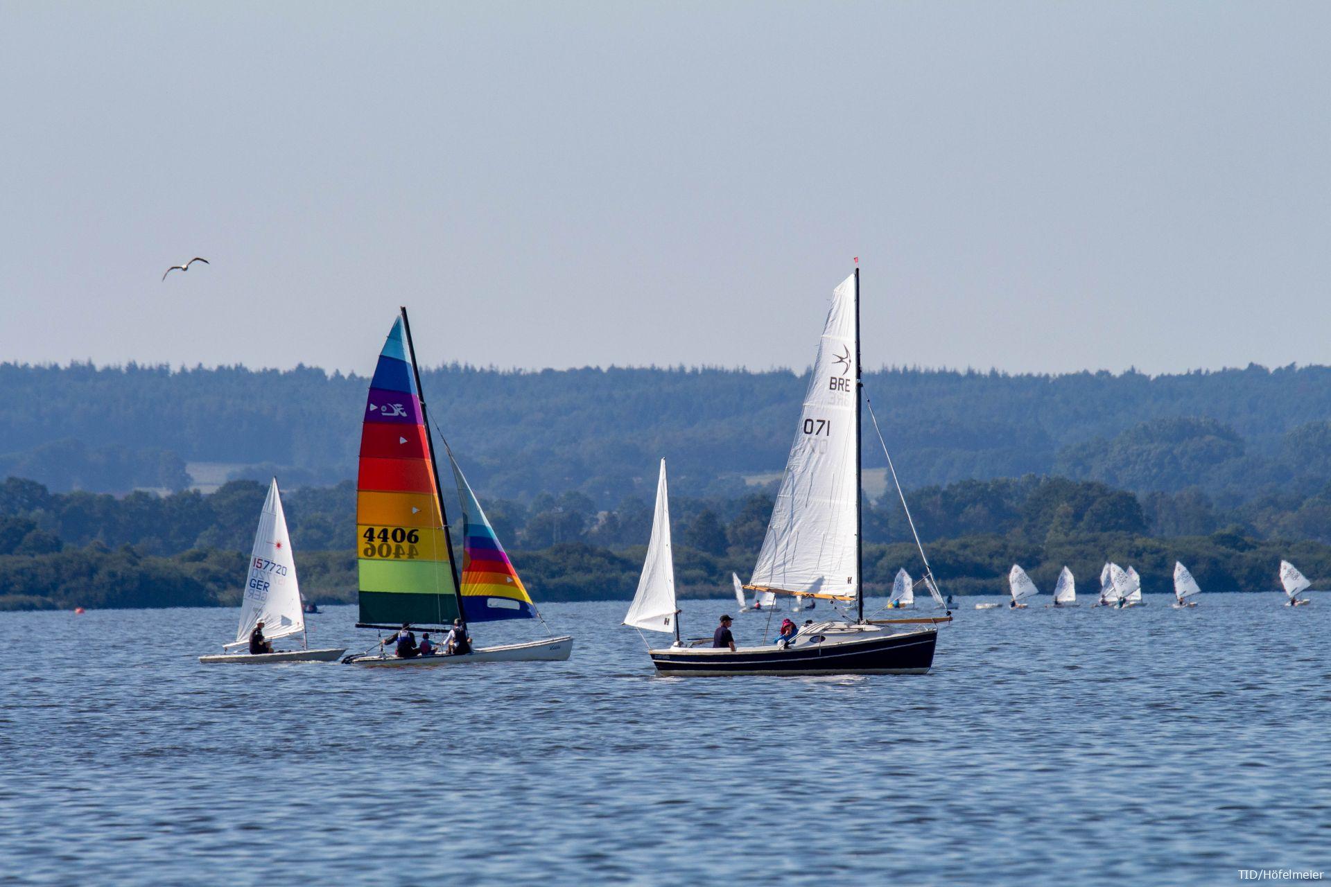 Segelvergnügen pur auf dem Dümmer-See – ideal für Regatten, Freizeitkapitäne und alle, die Wind und Weite lieben.