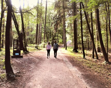 Wandern in den Dammer Bergen