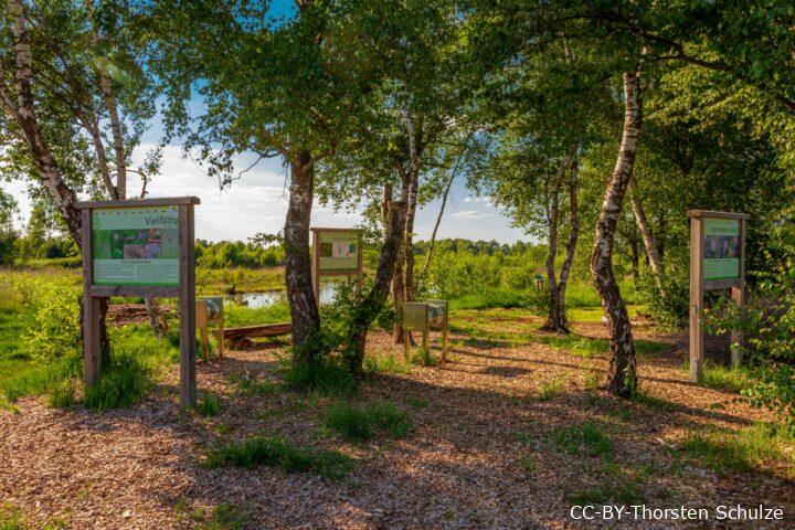 Infopunkt auf dem Moorerlebnispfad im Diepholzer Moor