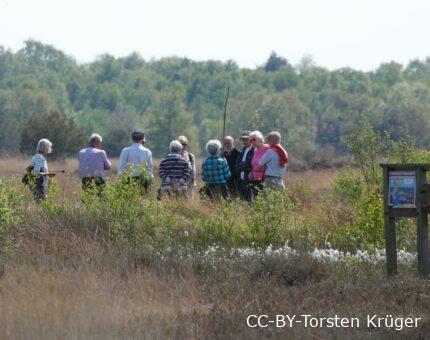 Naturführung im Neustädter Moor