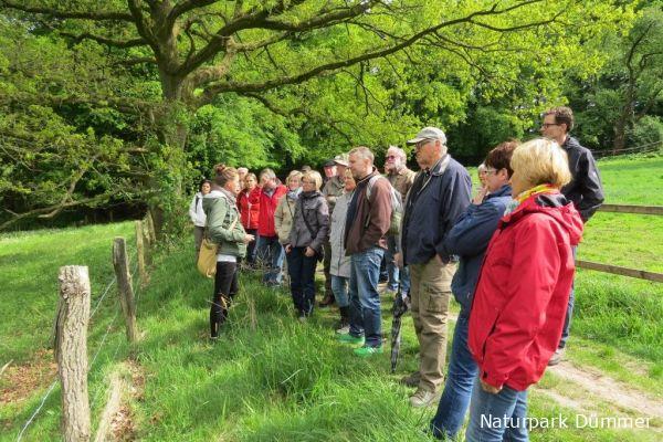 Personengruppe bei einer Naturpark Dümmer Führung