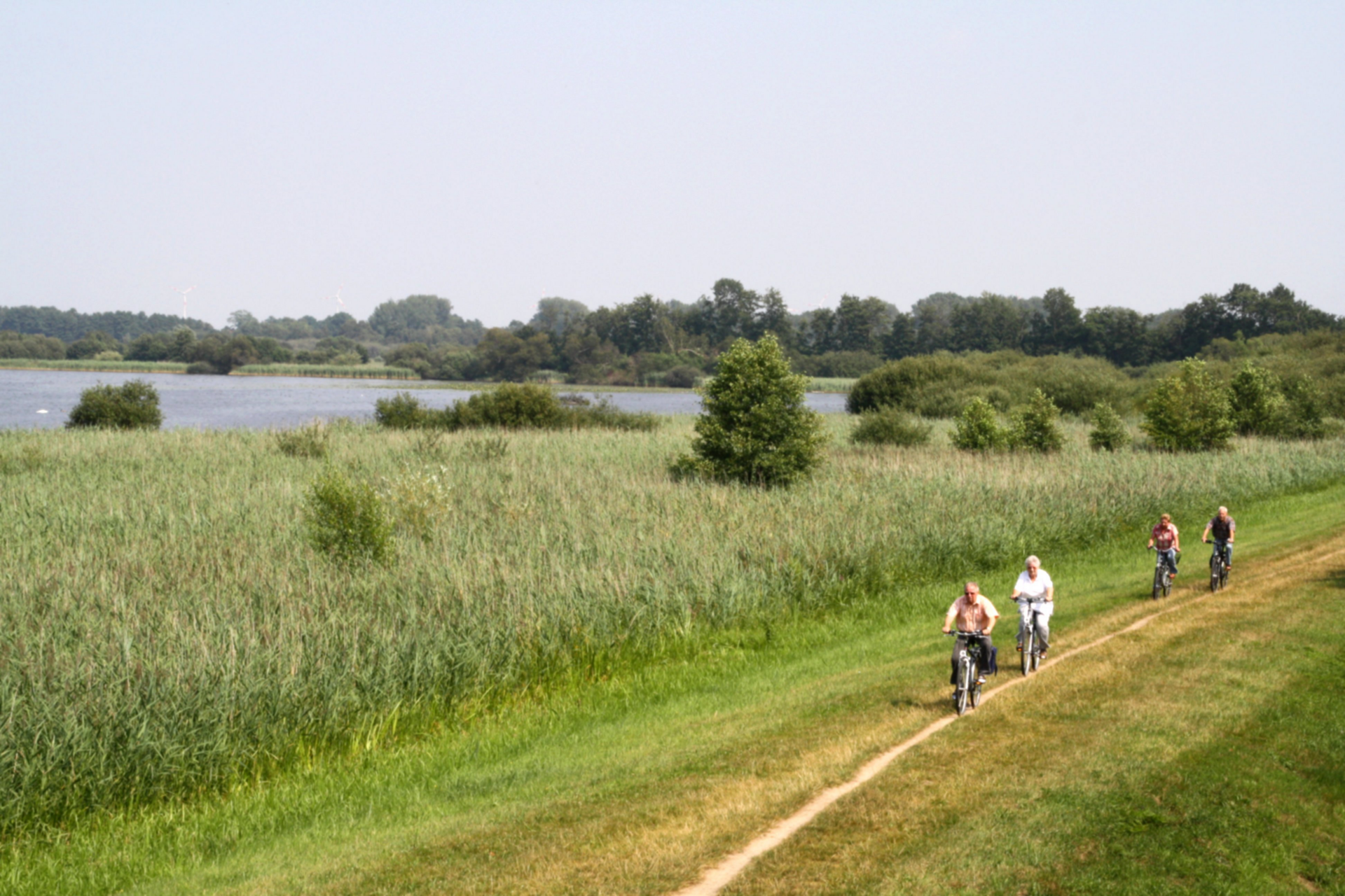 Radfahrer auf Deich am See