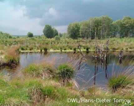 Regenwolken über dem Uchter Moor