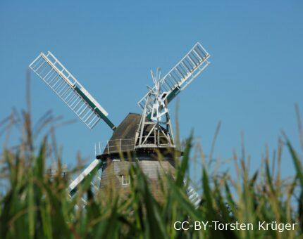 Spitze Windmühle hinter Maisfeld in der Samtgemeinde Schwaförden