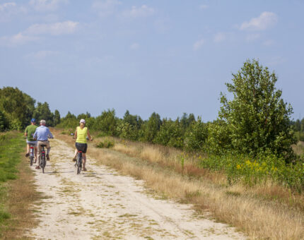 Farrradfahrer im Uchter Moor
