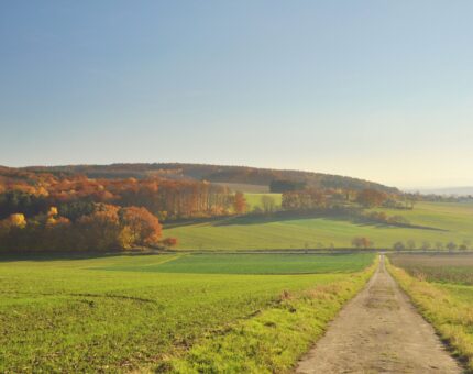Stemweder Berg hinter grünen Wiesen und einem Weg