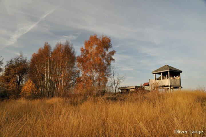 Vogelbeobachtungsstand Oppenweher Moor