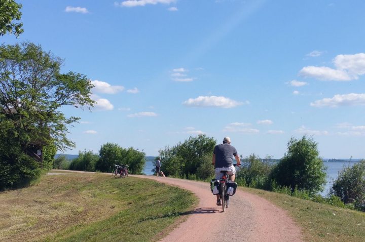 Radfahrer Deichweg Ein Radfahrer fährt bei strahlendem Sonnenschein auf einem kurvigen Deichweg entlang, mit Blick auf den See und umgeben von grüner Natur.