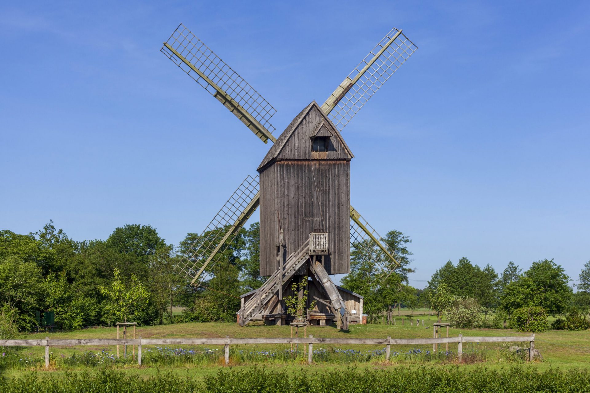Bockwindmühle in Wehe mit einem Holzzaun und einer Wiese mit blauen Blumen im Vordergrund