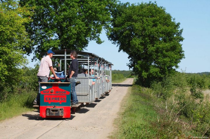 Goldenstedter Moorbahn auf dem Feldweg mit Besuchern