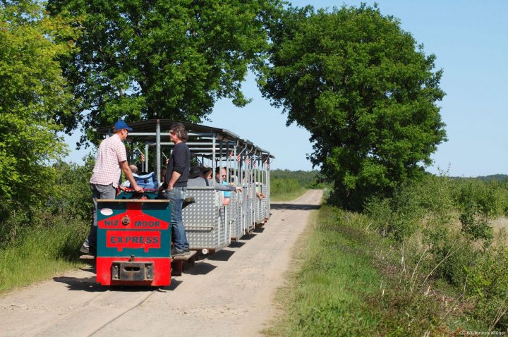 Goldenstedter Moorbahn Goldenstedter Moorbahn auf dem Feldweg mit Besuchern