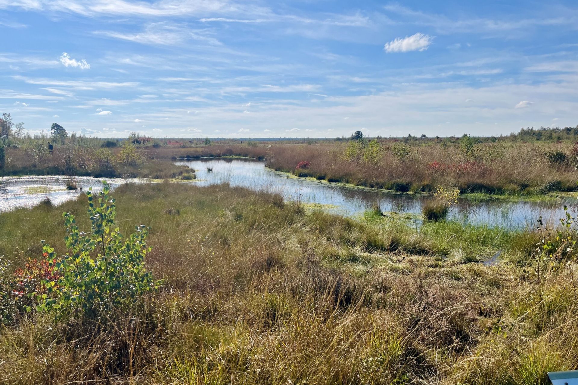 Ausblick auf das Goldenstedter Moor mit Wasserflächen und Moorpflanzen unter blauem Himmel