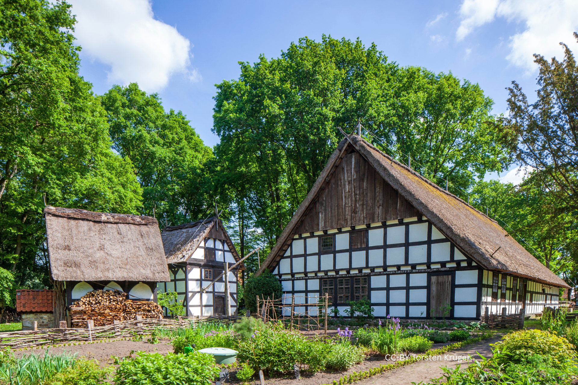 Fachwerkhäuser mit Reetdach auf dem Museumshof Rahden, umgeben von Gemüsebeeten, Holzzäunen und alten Bäumen.