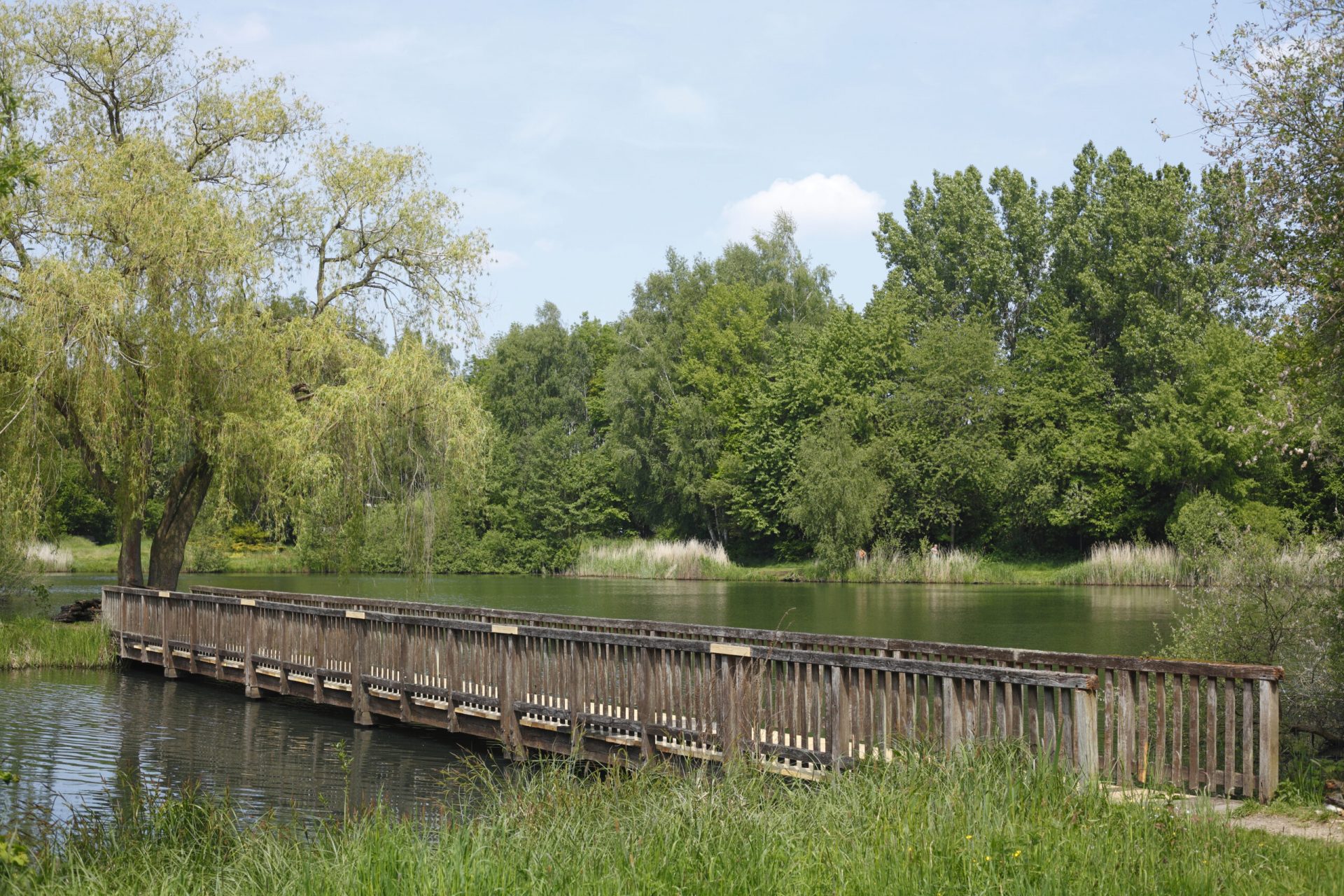 Stadtsee Sulingen mit Brücke und vielen Bäumen mit grünen Blättern im Hintergrund