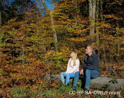 Junges Paar genießt den Herbst auf einem Baumstamm