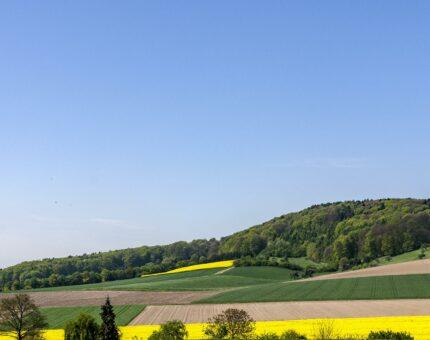 Landschaft Stemweder Berge